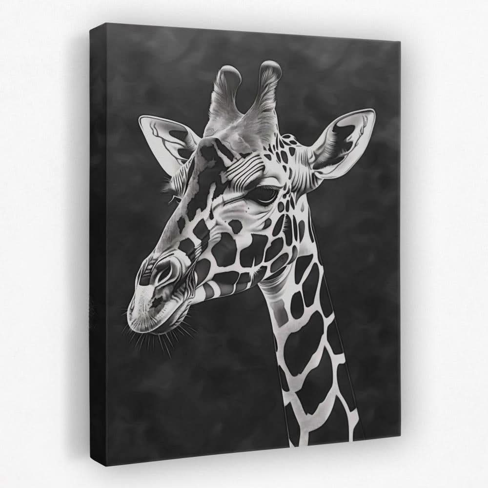 Black and White Wall Art