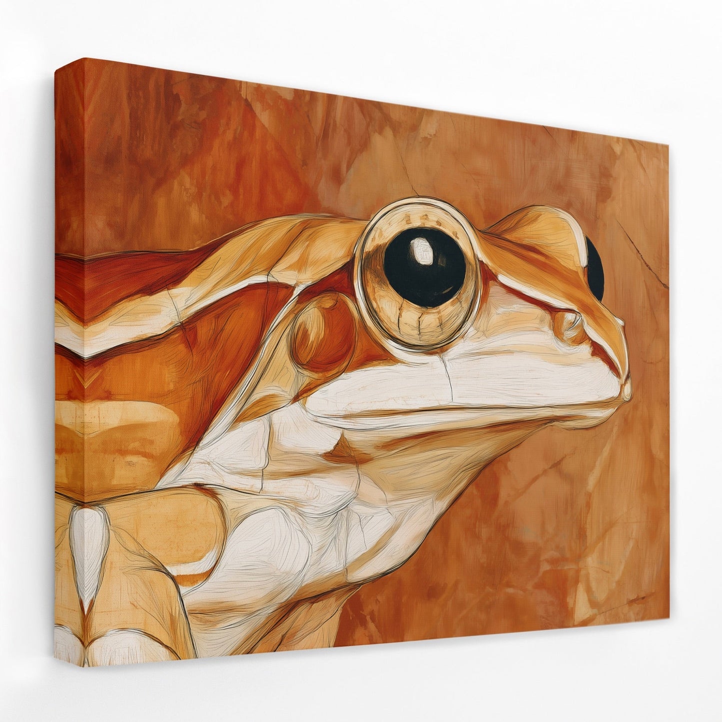 Albino Frog Nouveau