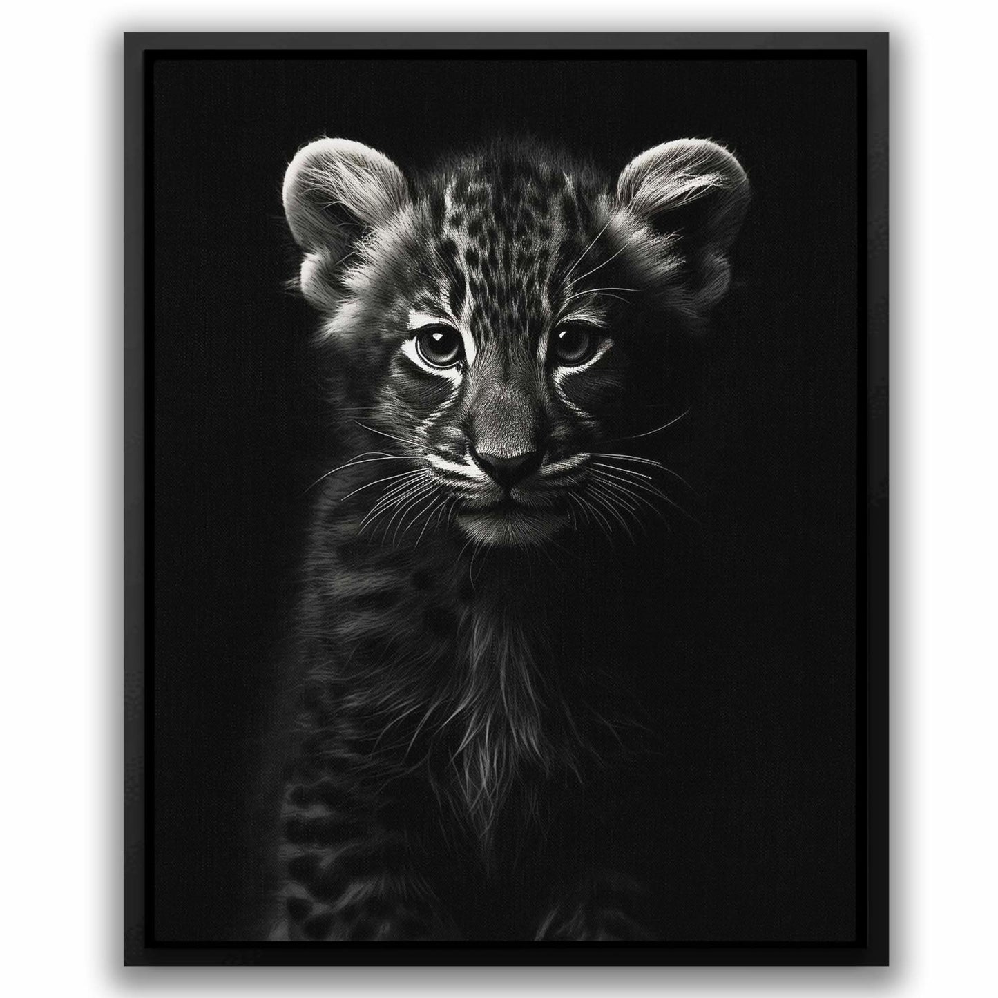 Black and White Tiger Cub - Large Canvas Print