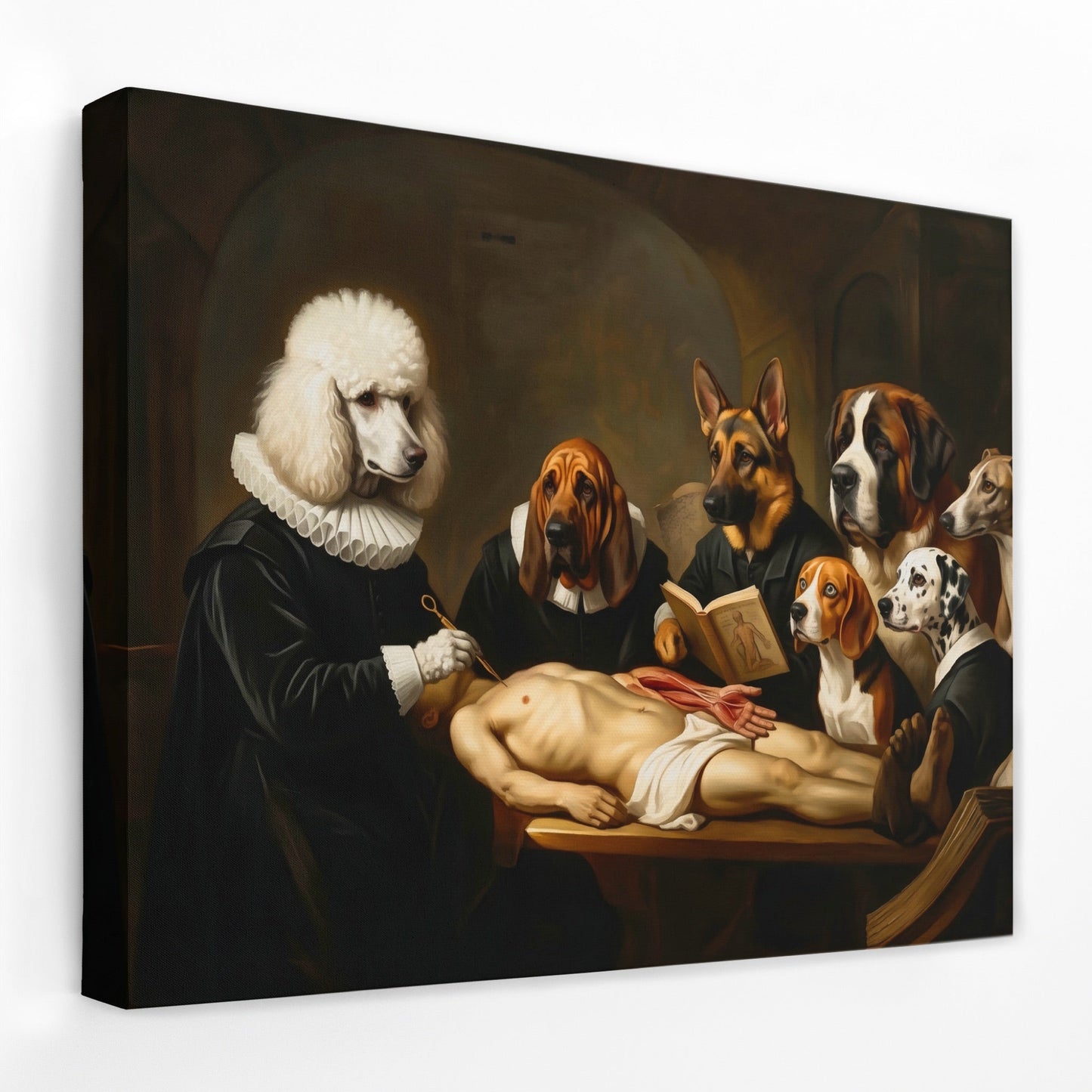 Canine Medical Consultation