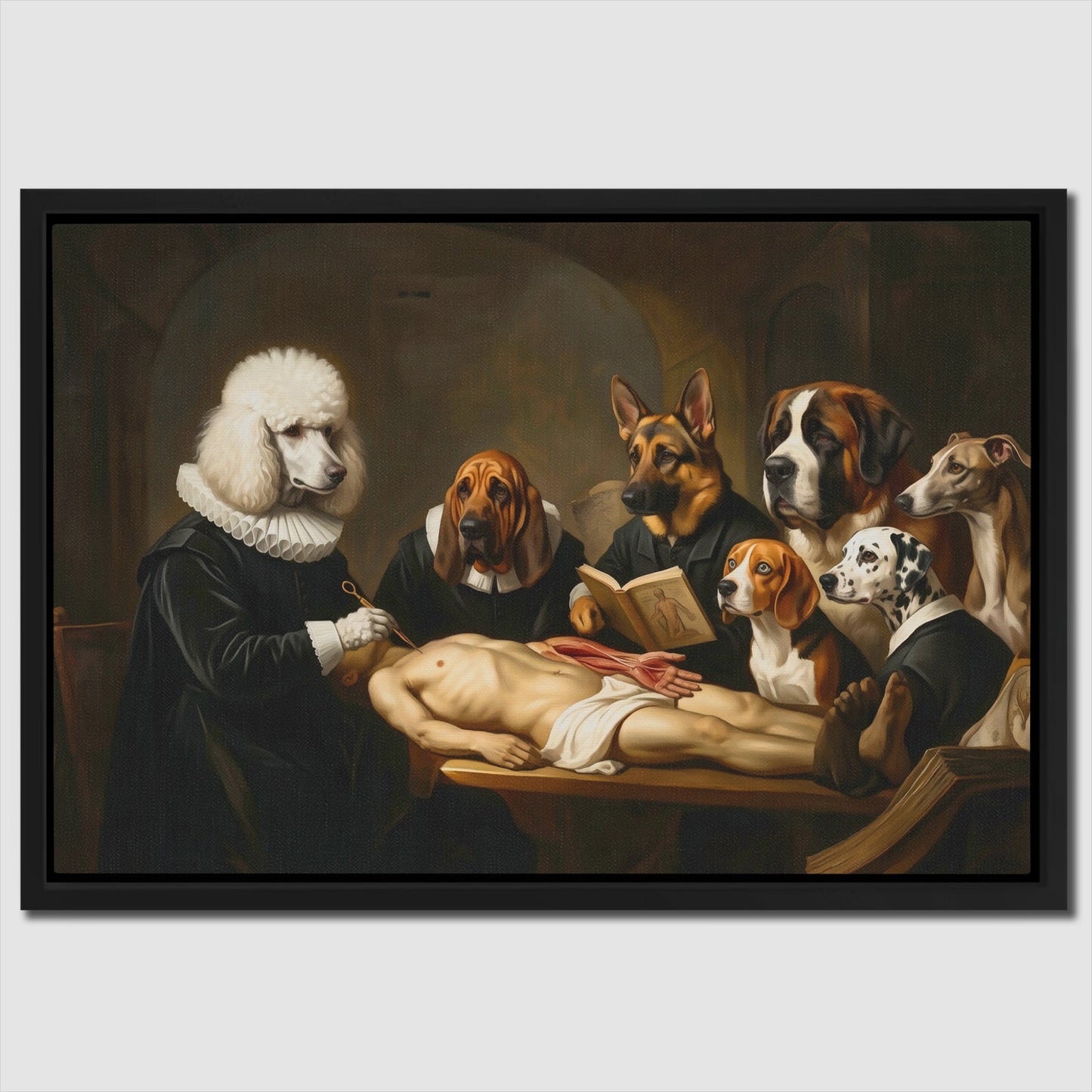 Canine Medical Consultation