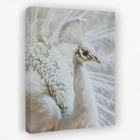 Chromatic Peacock - Albino Canvas Wall Art