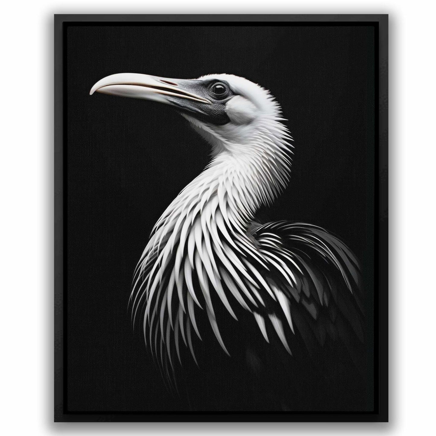 Egyptian Goose - Framed Art Print