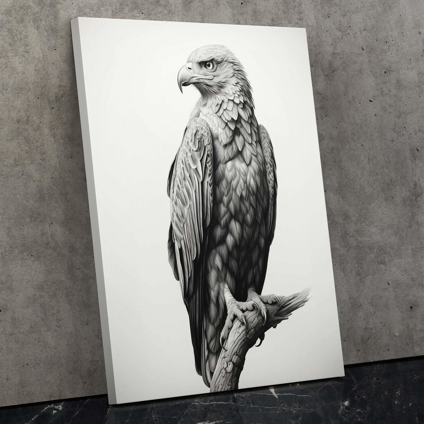 Pencil Bald Eagle - Black and White Canvas Print