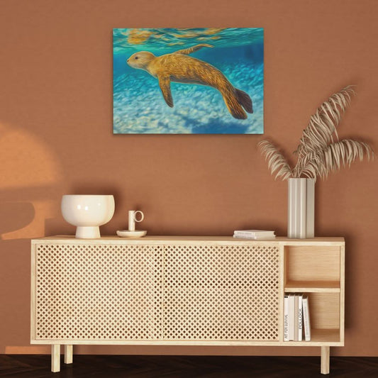 Shallow Seal Swimming - Wall Art in Black Frame